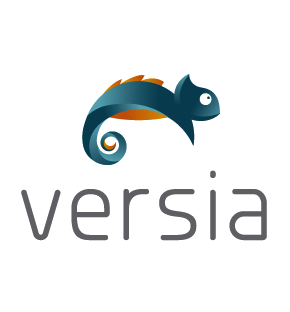 Grupo Versia